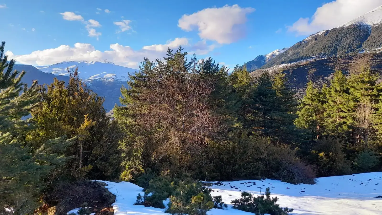 Berg Pyrenaen mit Schnee 2 Motorradreisen in Spanien