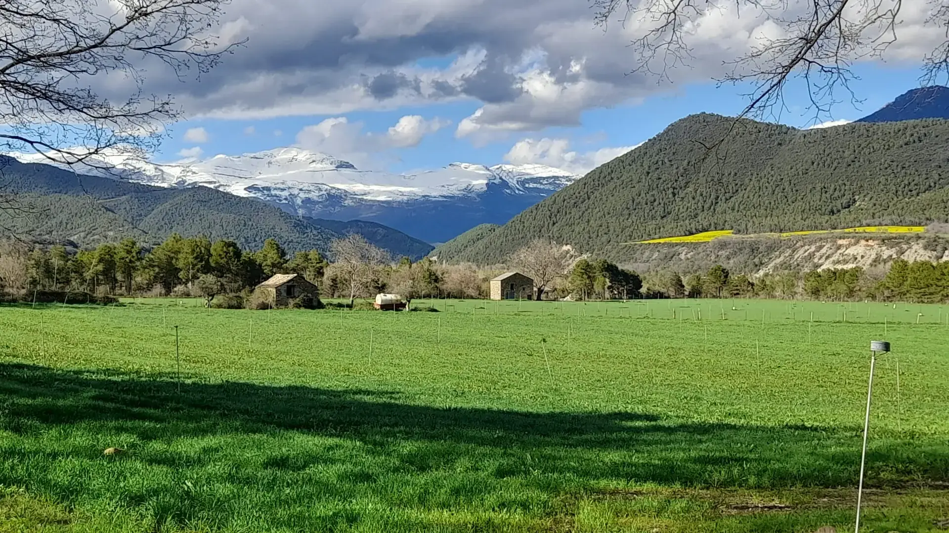 berge schnee pyrenaen grune wiese im vordergrund Motorradreisen in Spanien